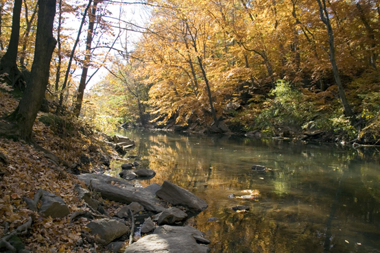 The Bronx River