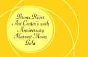 20th Anniversary Gala at the Bronx Museum 