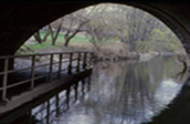 Underwater New York: The Bronx River