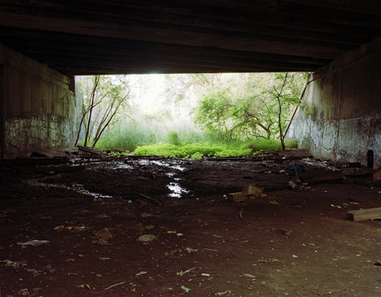 Surprisingly Natural: the Nature of the Bronx